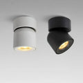Modern black adjustable led ceiling downlight living room spotlight