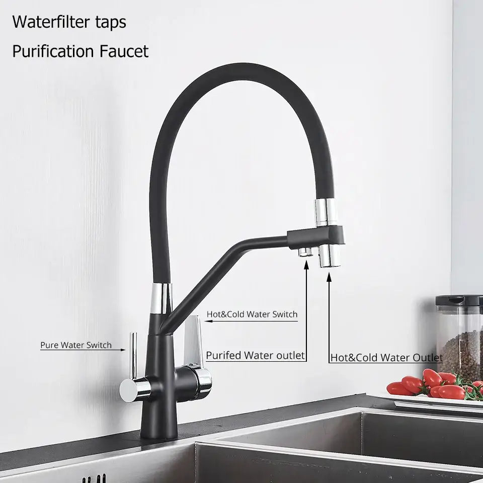 Modern black & chrome dual spout filter faucet kitchen tap