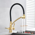 Modern black & chrome dual spout filter faucet kitchen tap