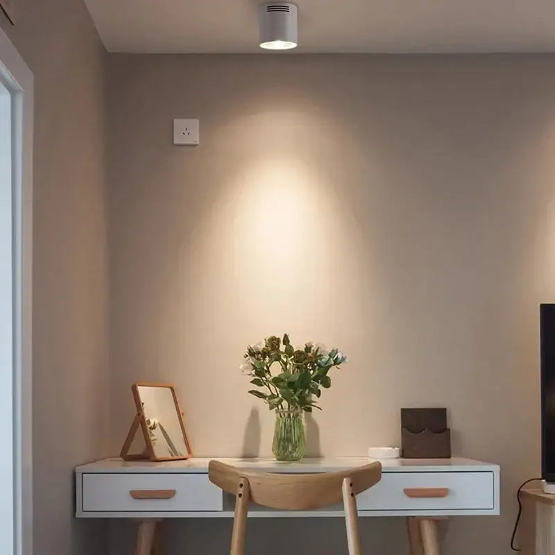Modern black cylindrical pendant ceiling spot light for kitchen