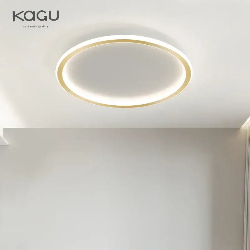 Modern black decorbites dimmable led ceiling light living room