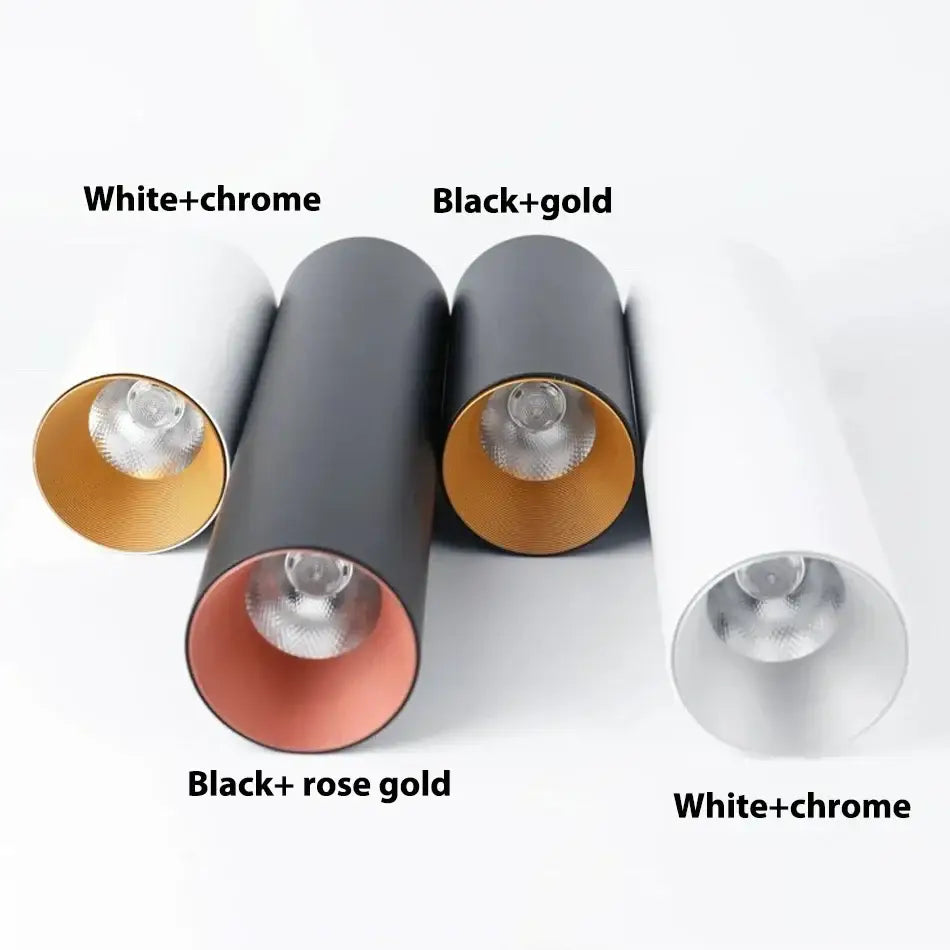 Modern black & gold dimmable led downlight living room ceiling light