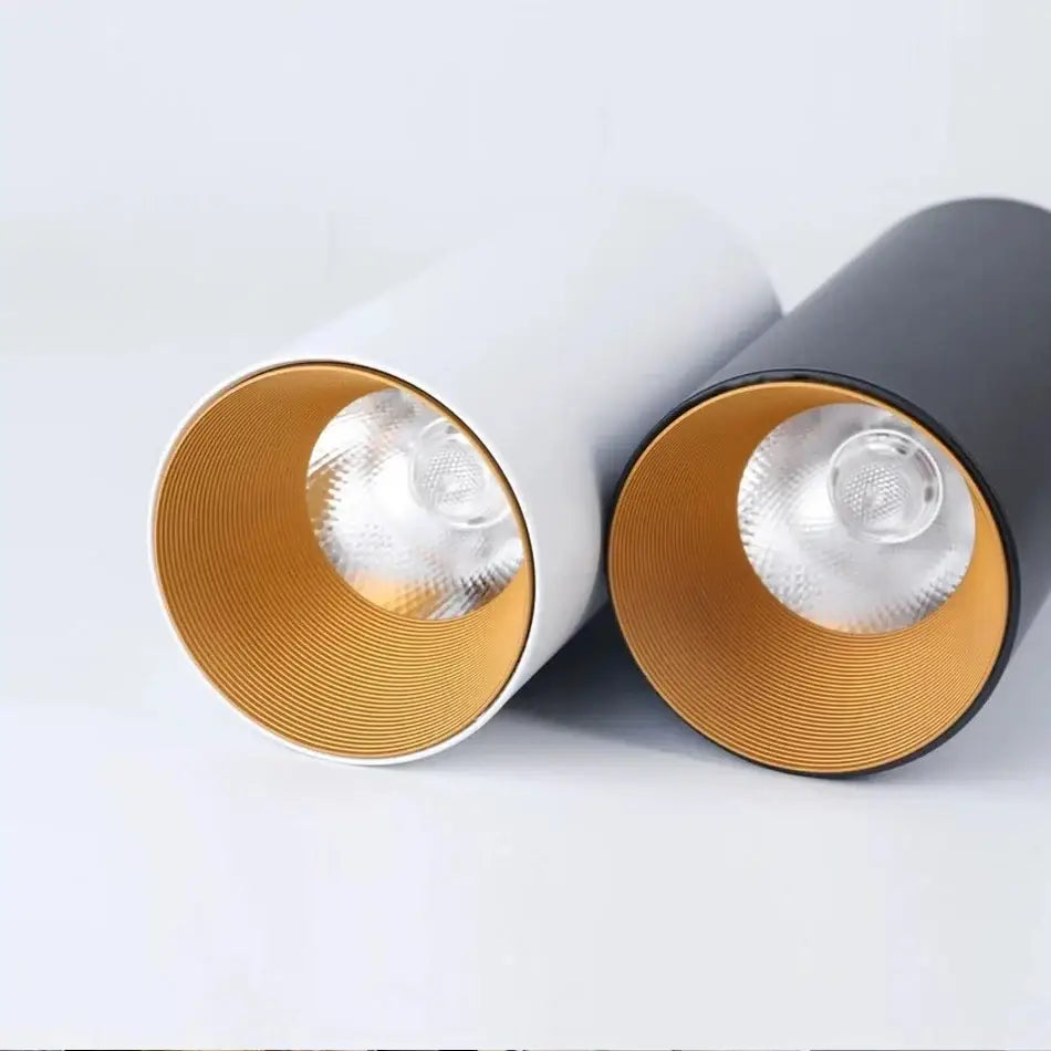 Modern black & gold dimmable led downlight living room ceiling light