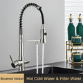 Modern black gold & silver water filter faucet kitchen flexible tap