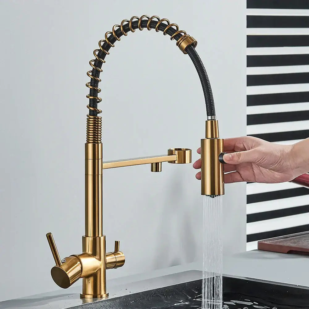 Modern black gold & silver water filter faucet kitchen flexible tap