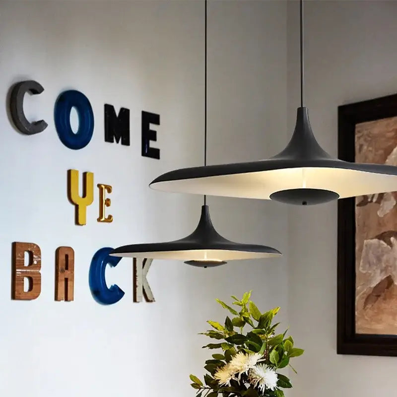 Modern black irregular art pendant lamp for living room