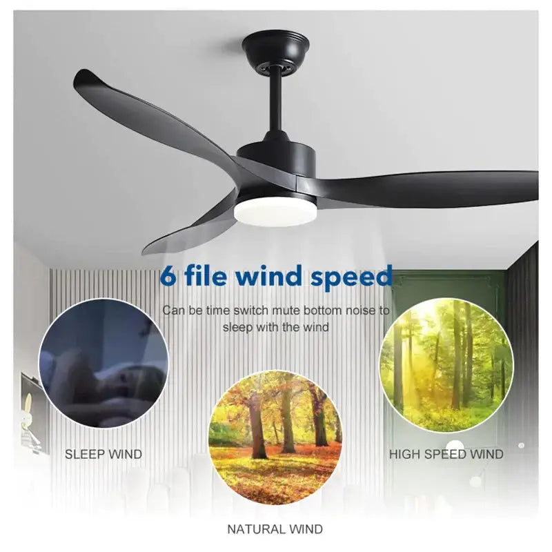 Modern black pure copper ceiling fan with led light and remote control