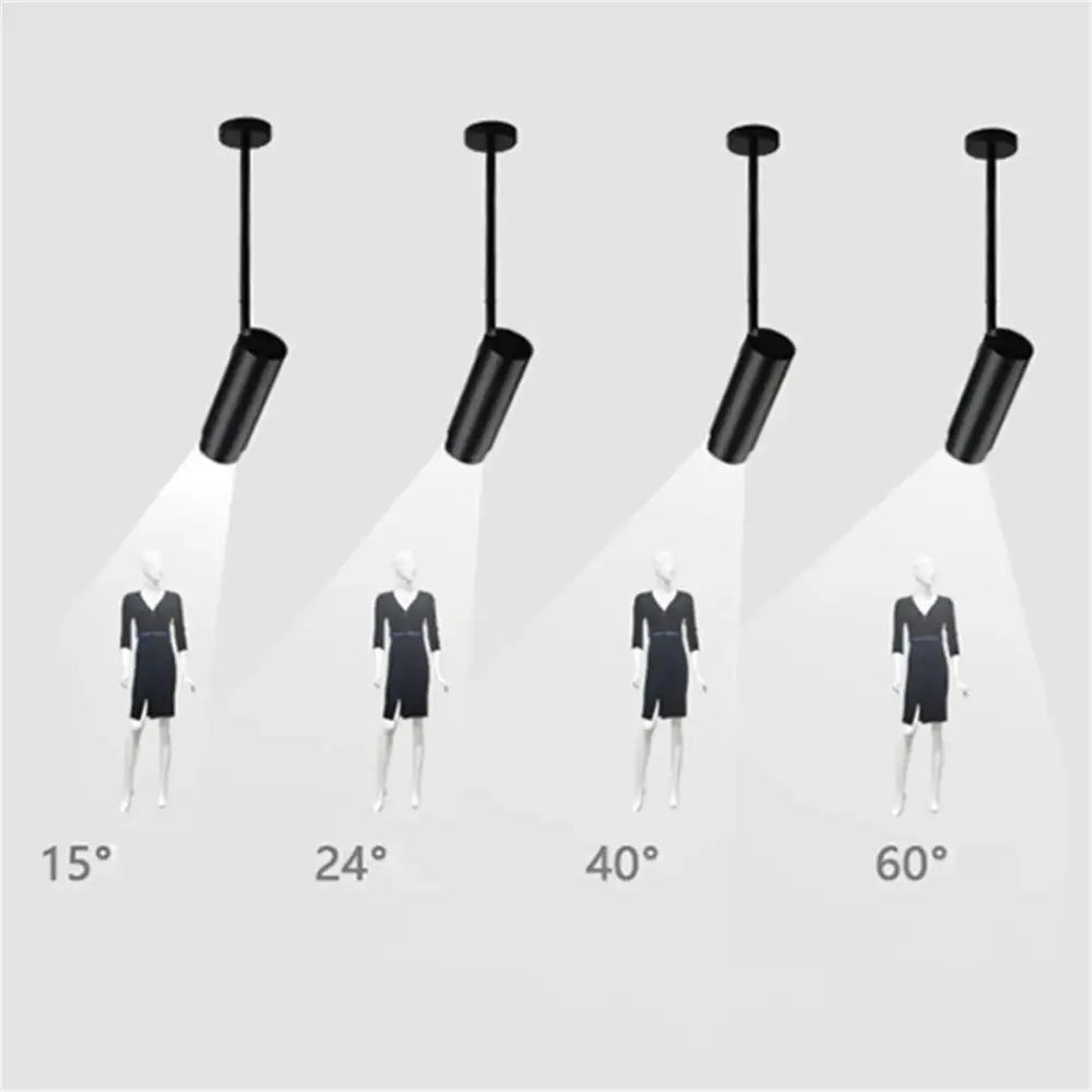 Modern black & white adjustable beam ceiling spotlight for office