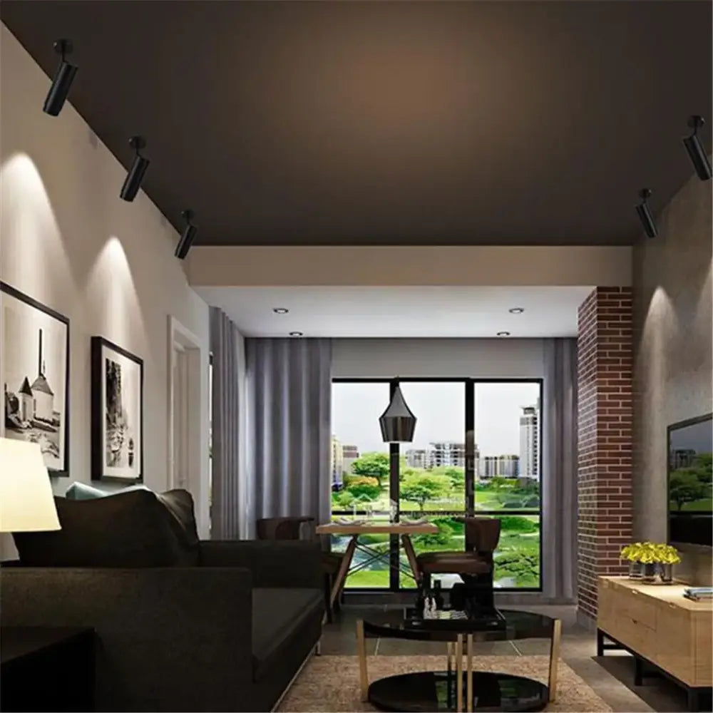 Modern black & white adjustable beam ceiling spotlight for office