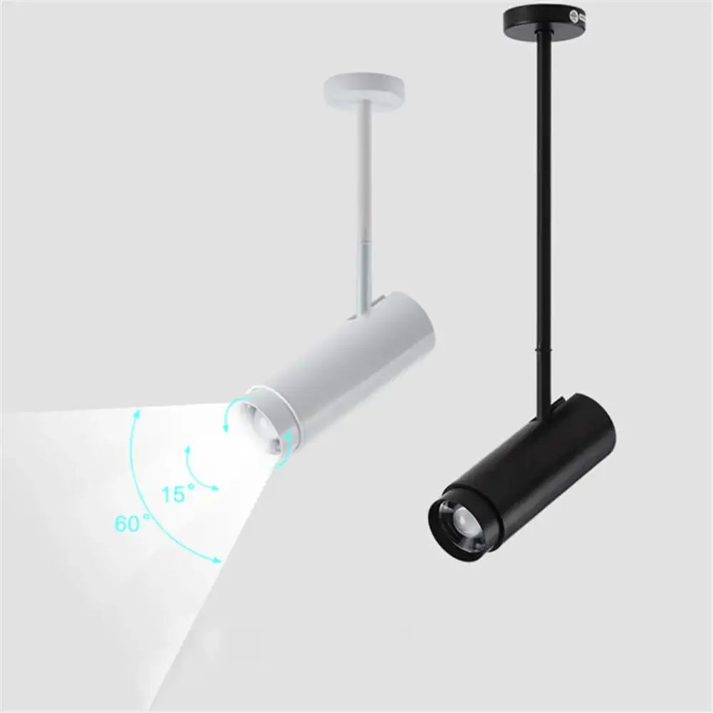 Modern black & white adjustable beam ceiling spotlight for office