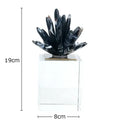 Modern black & white agate flower crystal art – living room decor