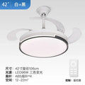 Modern black & white ceiling fan with retractable blades bedroom light