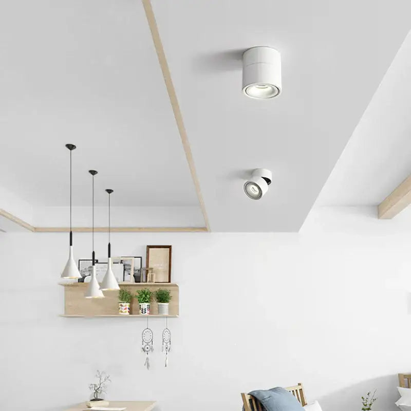 Modern black & white cob led ceiling spot light for living room