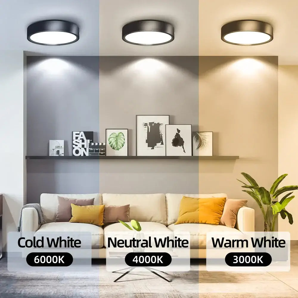 Modern black & white decorbites led ceiling lamp kitchen light