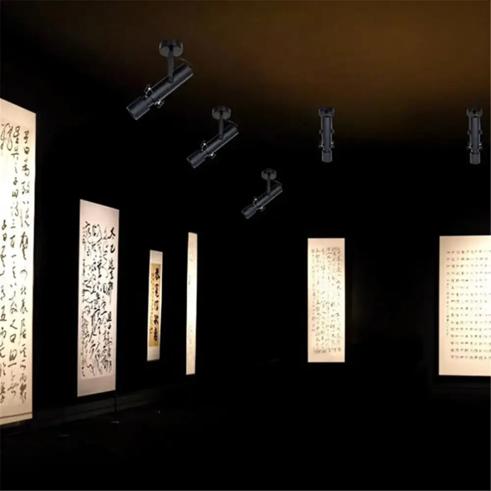 Modern black & white led track light gallery spotlight