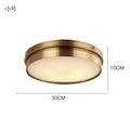 Modern brass led ceiling light for living room with frosted glass