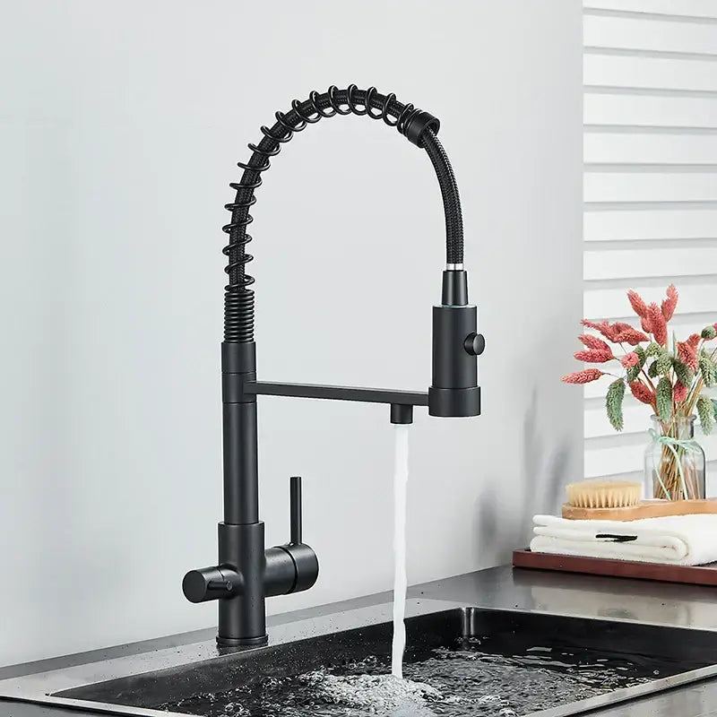 Modern chrome and black dual spout water filter faucet kitchen tap