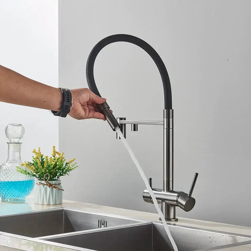 Modern chrome and black dual spout water filter faucet kitchen tap
