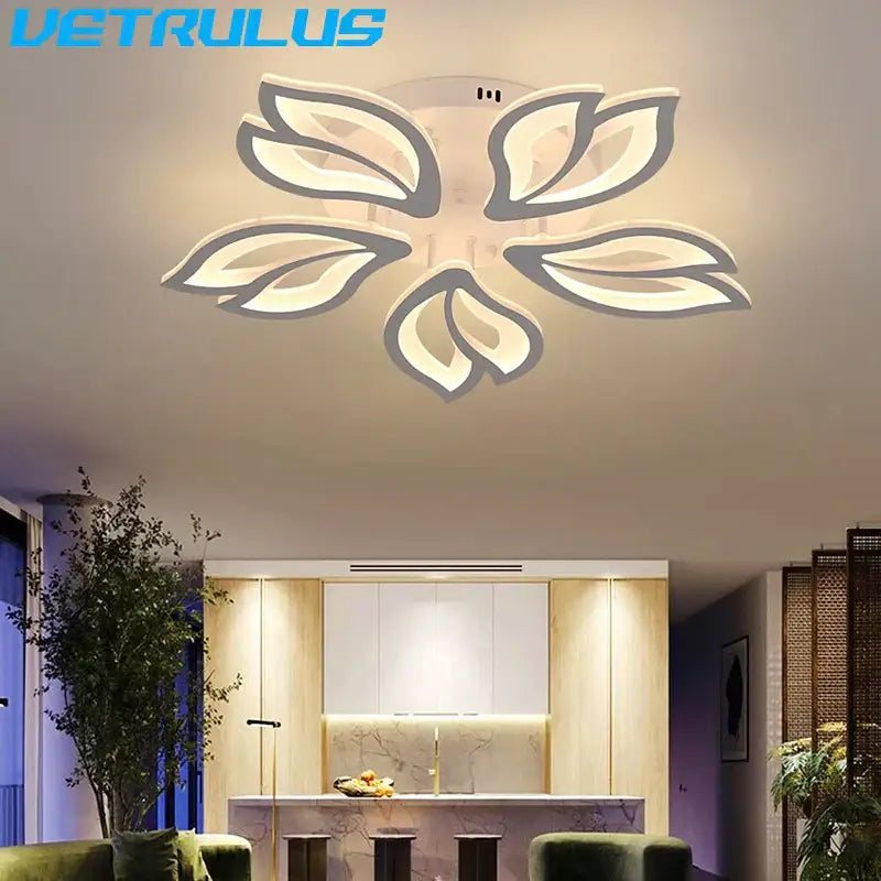 Modern geometric acrylic led ceiling light for living room bedroom