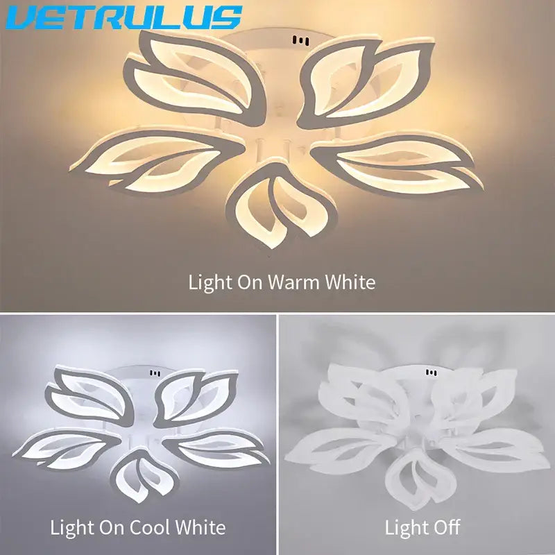 Modern geometric acrylic led ceiling light for living room bedroom