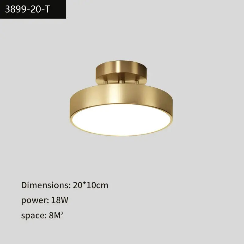 Modern gold black copper led ceiling light living room spotlight
