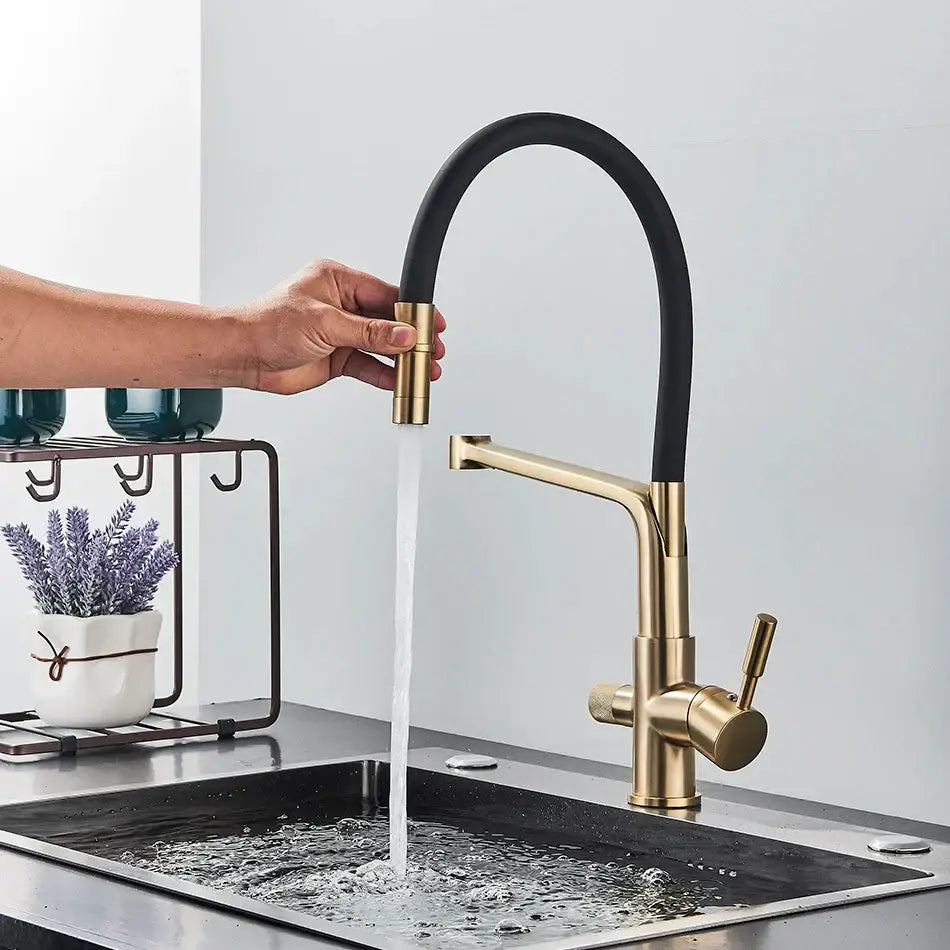 Modern gold & black dual spout kitchen faucet with flexible hose