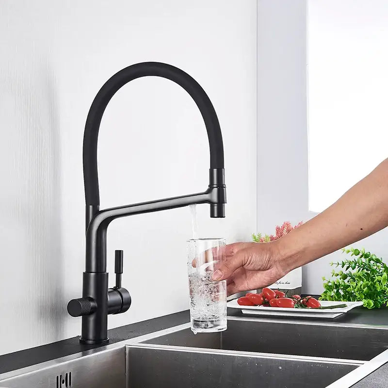 Modern gold & black dual spout kitchen faucet with flexible hose