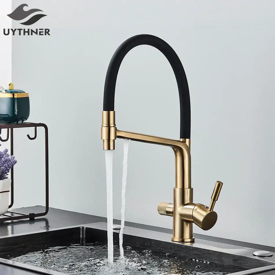 Modern gold & black dual spout kitchen faucet with flexible hose