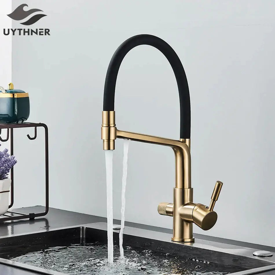 Modern gold & black dual spout kitchen faucet with flexible hose