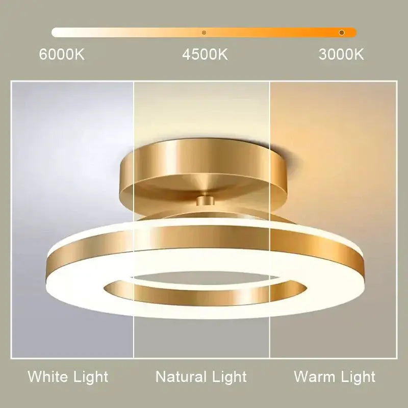 Modern gold circular led ceiling lamp for living room