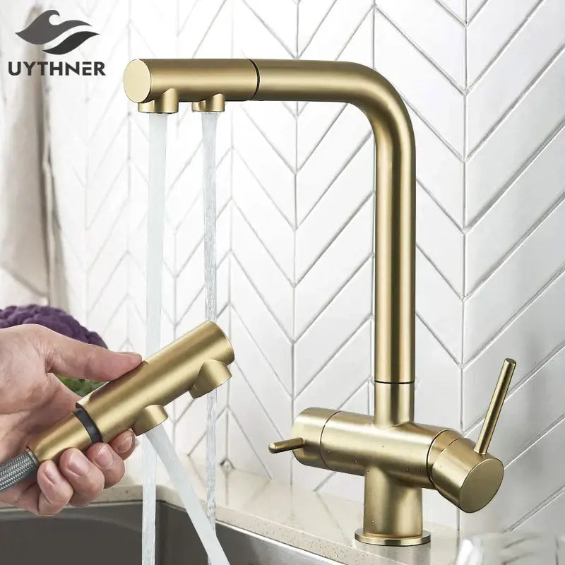 Modern gold dual handle waterfilter kitchen faucet with pull out spray