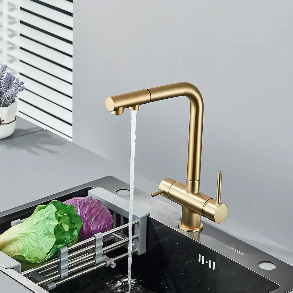 Modern gold dual handle waterfilter kitchen faucet with pull out spray