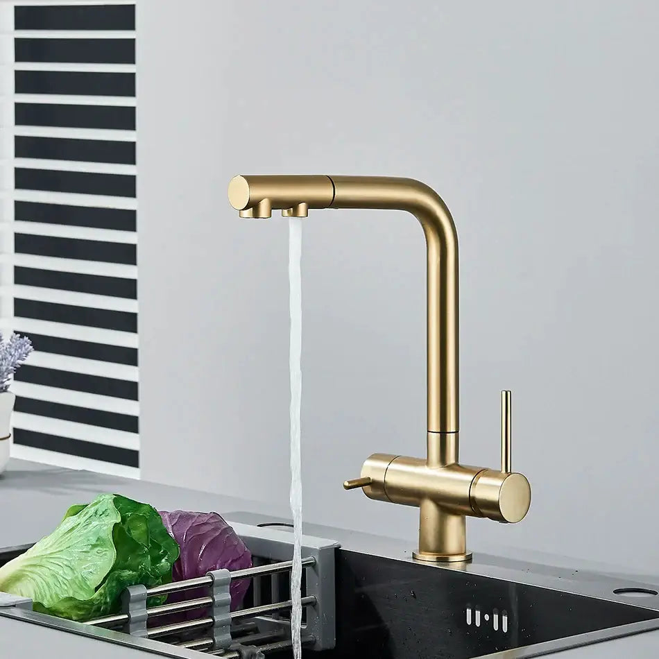 Modern gold dual handle waterfilter kitchen faucet with pull out spray