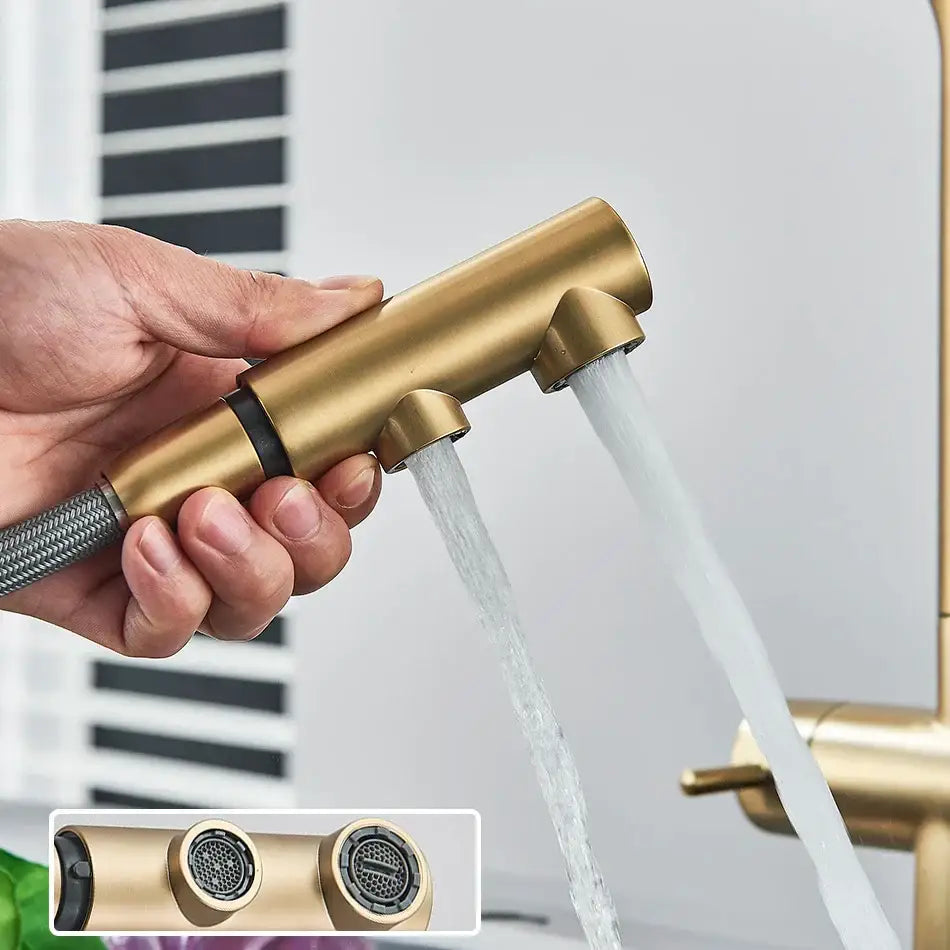 Modern gold dual handle waterfilter kitchen faucet with pull out spray
