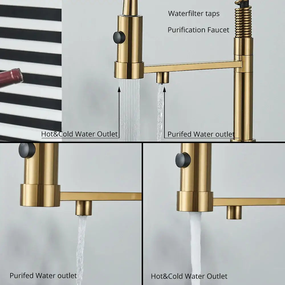 Modern matte black & brushed gold dual spout water filter kitchen faucet