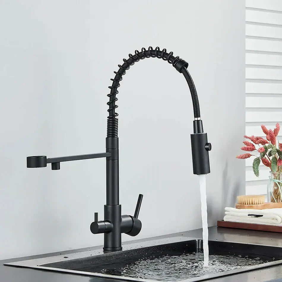 Modern matte black & brushed gold dual spout water filter kitchen faucet