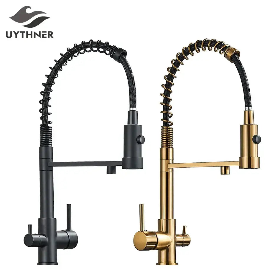 Modern matte black & brushed gold dual spout water filter kitchen faucet
