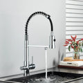 Modern matte black & brushed gold dual spout water filter kitchen faucet