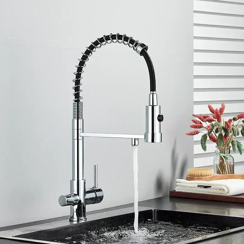 Modern matte black & brushed gold dual spout water filter kitchen faucet