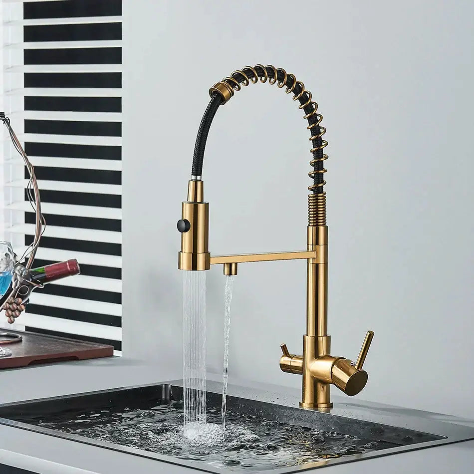 Modern matte black & brushed gold dual spout water filter kitchen faucet