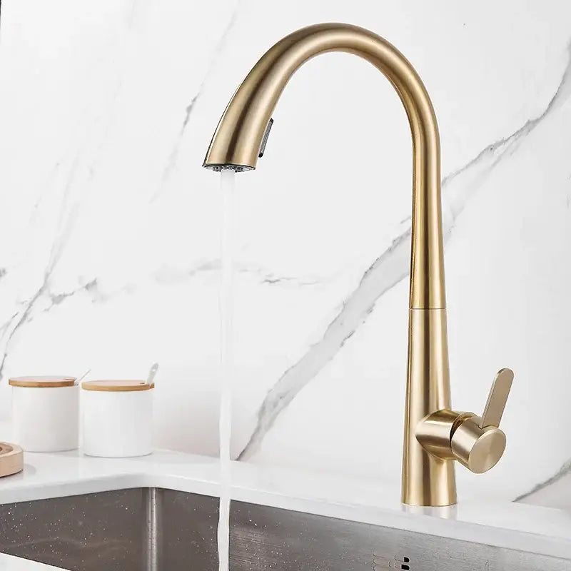 Modern matte black & brushed gold kitchen faucet with spring spout