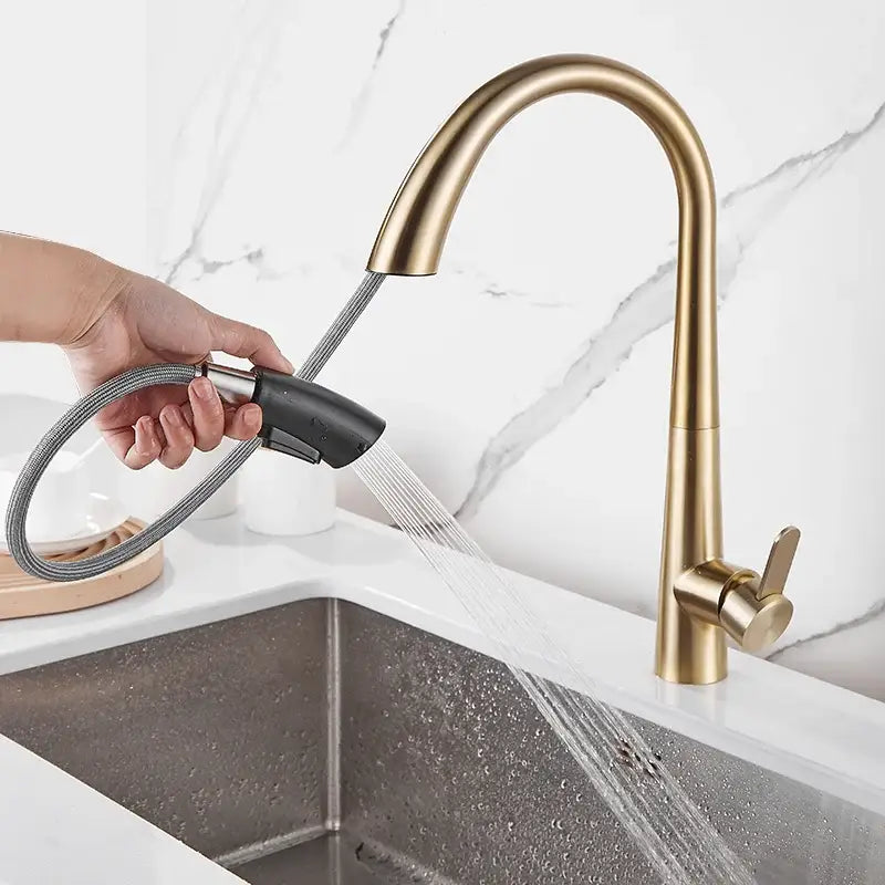 Modern matte black & brushed gold kitchen faucet with spring spout