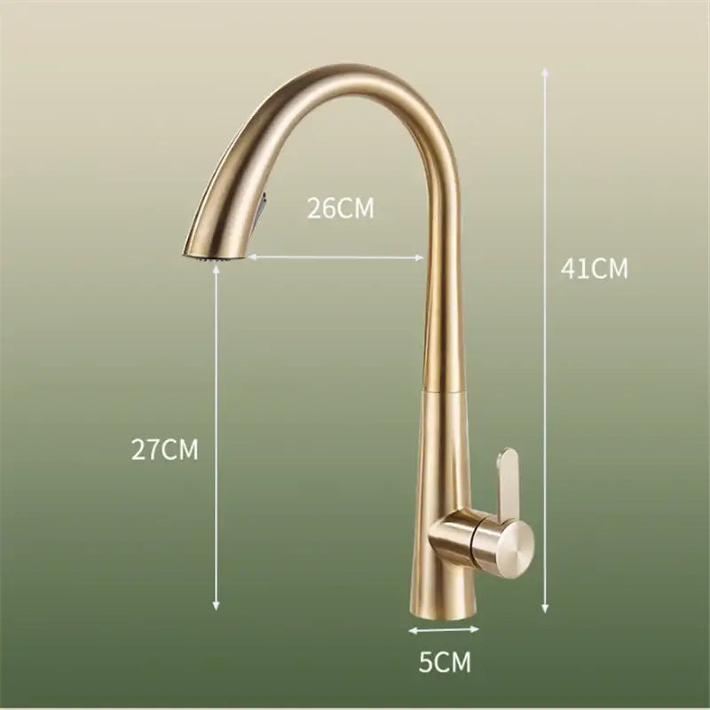 Modern matte black & brushed gold kitchen faucet with spring spout