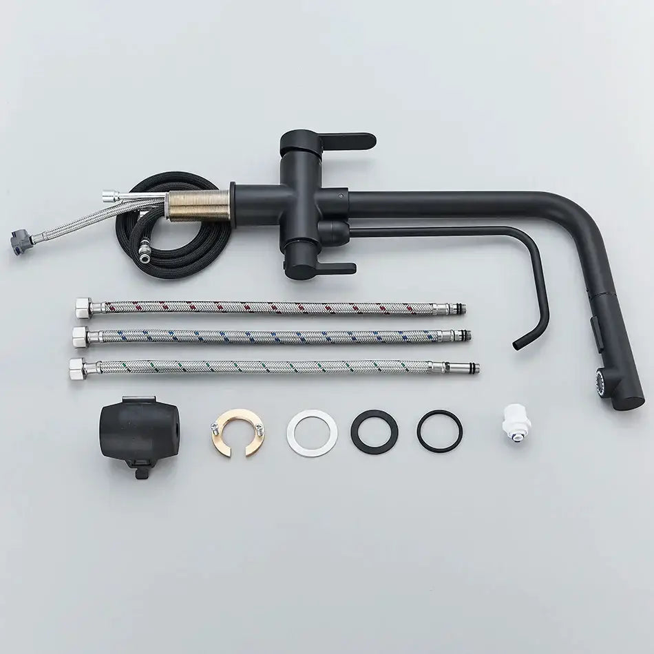 Modern matte black dual handle waterfilter kitchen faucet