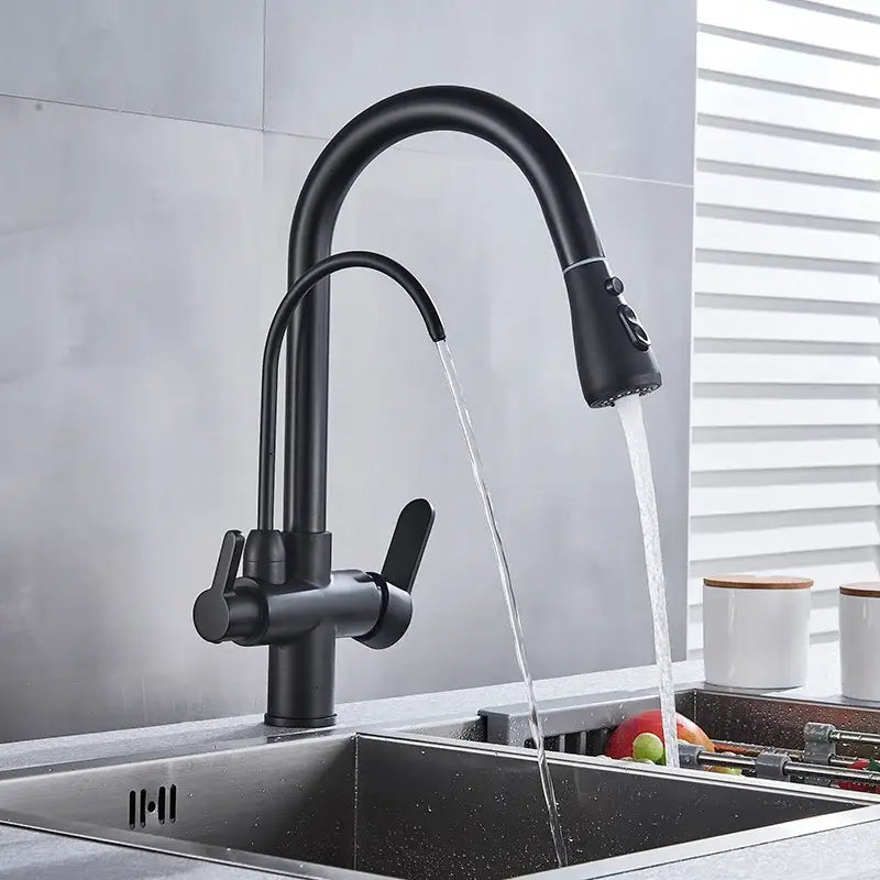 Modern matte black dual handle waterfilter kitchen faucet