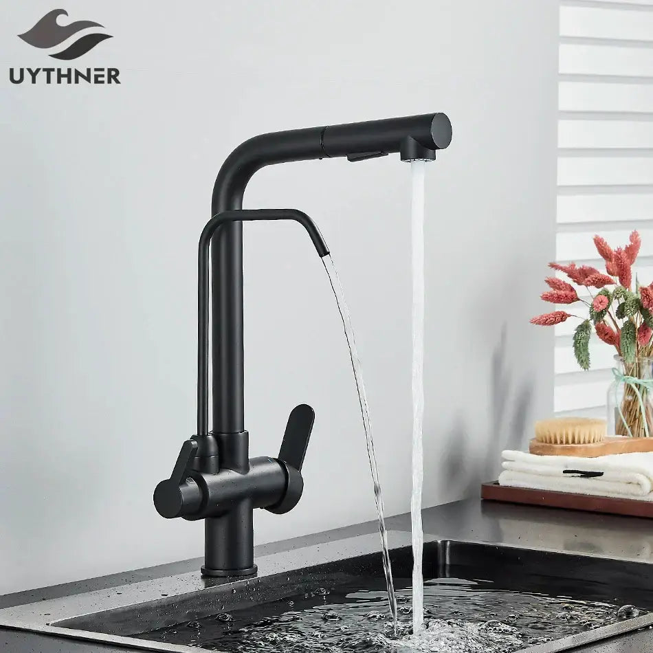 Modern matte black dual handle waterfilter kitchen faucet