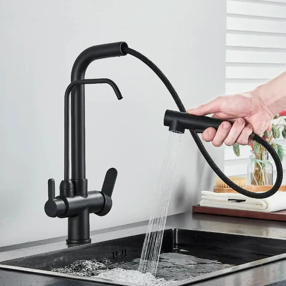 Modern matte black dual handle waterfilter kitchen faucet