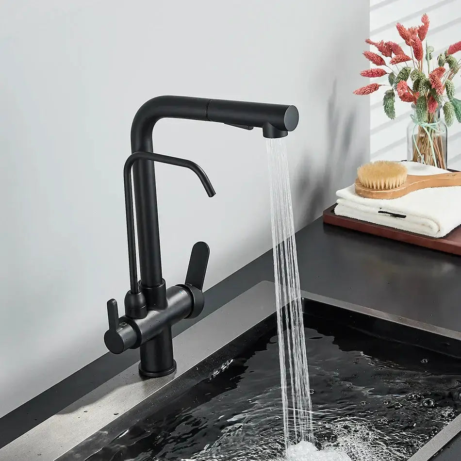 Modern matte black dual handle waterfilter kitchen faucet