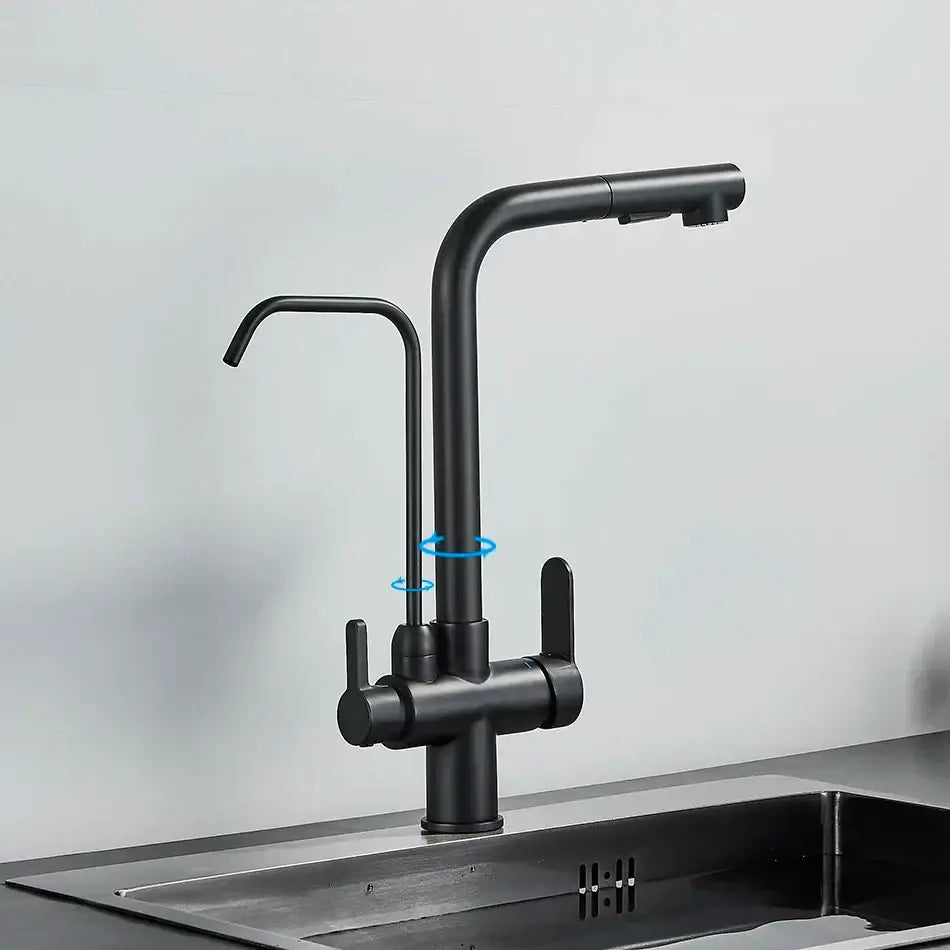 Modern matte black dual handle waterfilter kitchen faucet