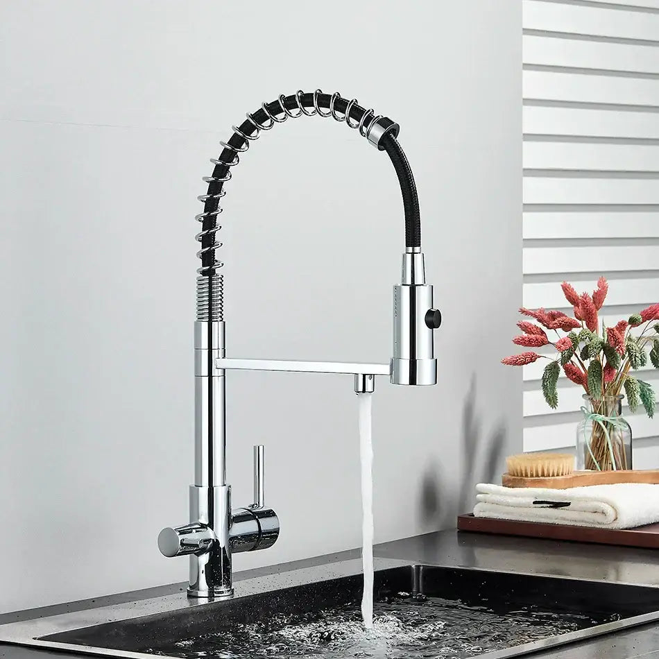 Modern matte black dual spout kitchen water filter faucet